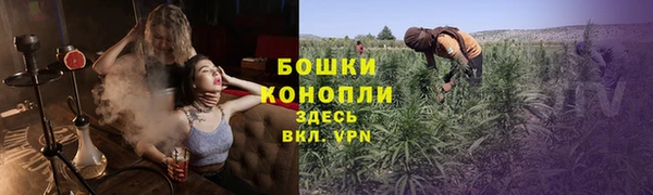ALPHA PVP Коряжма