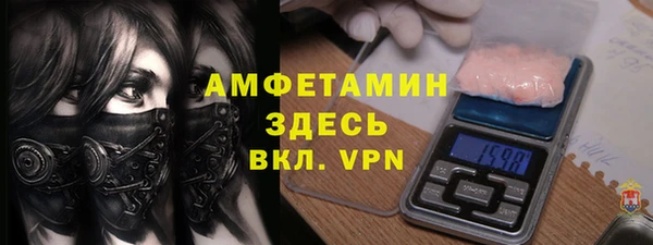 гашик Краснослободск