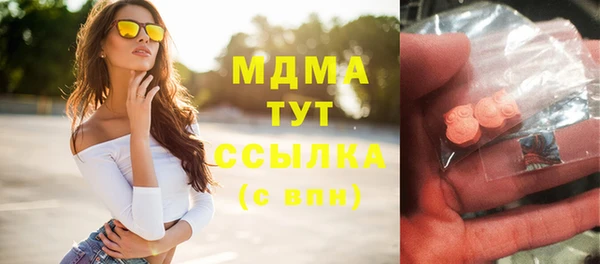 гашик Краснослободск