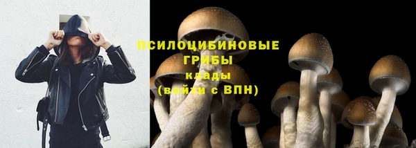 кокс Мегион