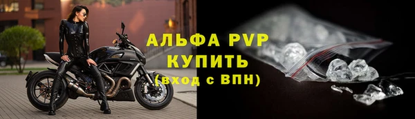 гашик Краснослободск