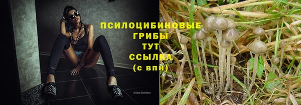 кокс Корсаков