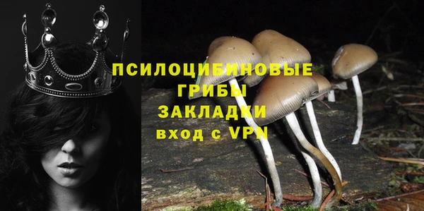 ALPHA PVP Коряжма
