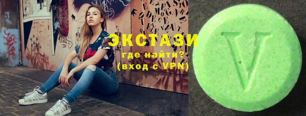 гашик Краснослободск