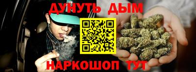 прущие грибы Гагарин