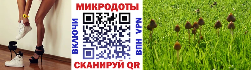Псилоцибиновые грибы мицелий  сайты даркнета Telegram  Тихвин  купить наркотик 