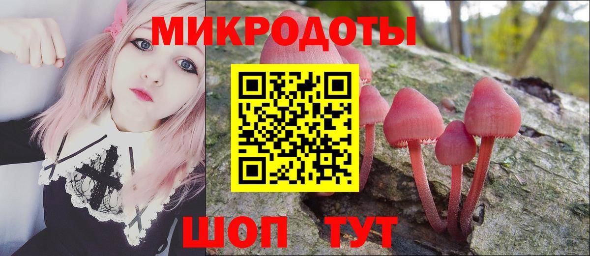 Галлюциногенные грибы Psilocybe Тихвин