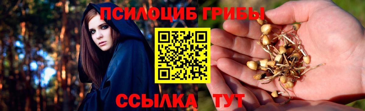 Тихвин  Псилоцибиновые грибы MAGIC MUSHROOMS  купить наркотики цена  Вход с VPN 